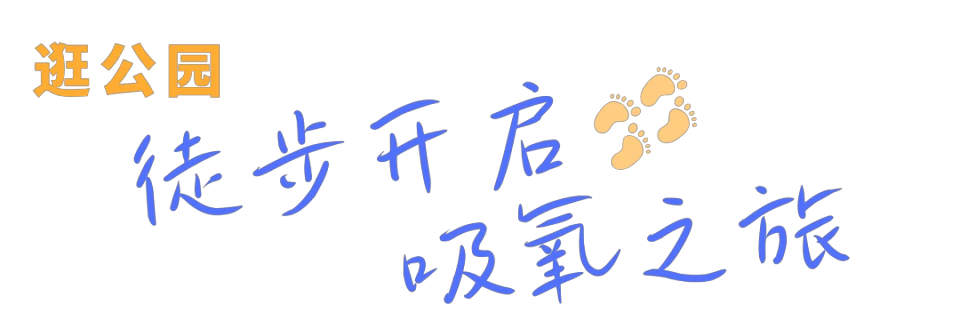 篮球力量训练计划表图片_1
